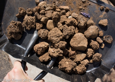 Clay Clods of Dirt and Rocks