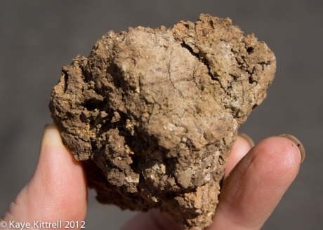 Chunk of Clay Soil
