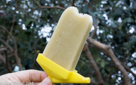 Pineapple Guava and Pineapple Popsicle