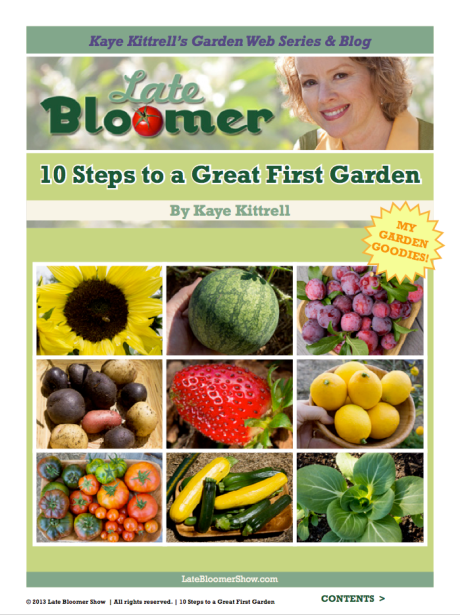 Kaye's Late Bloomer E-Book